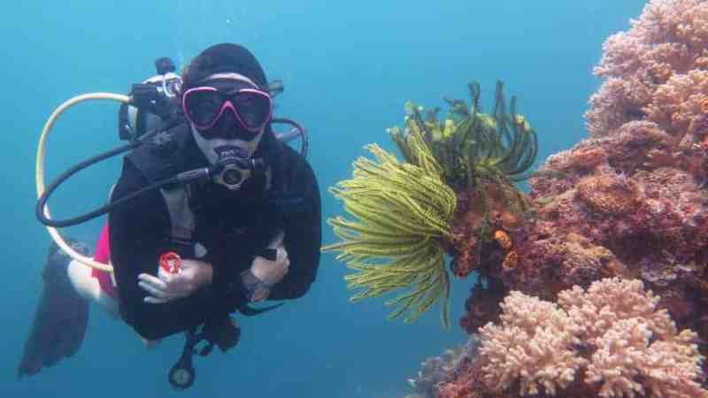 a person swimming underwater