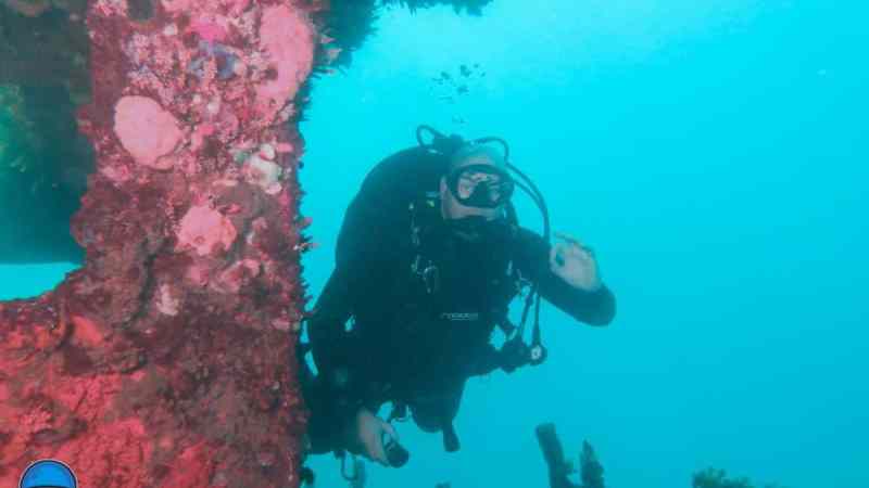 a person swimming in a body of water