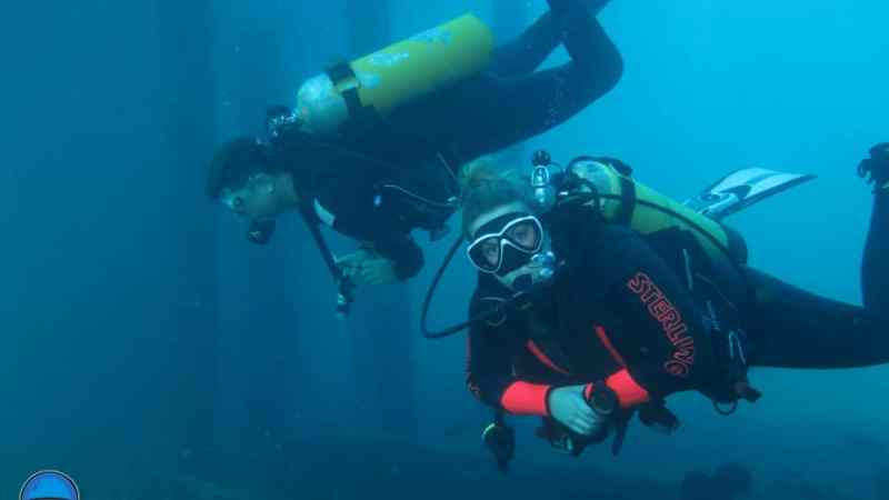 a group of people swimming in the water