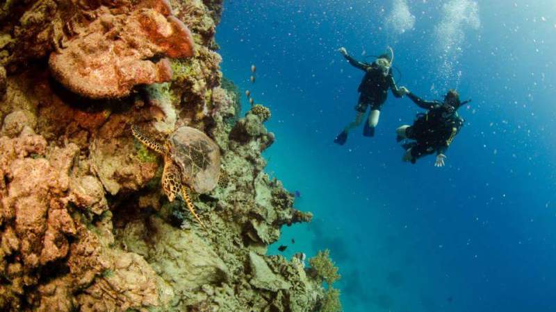 a man swimming in the water