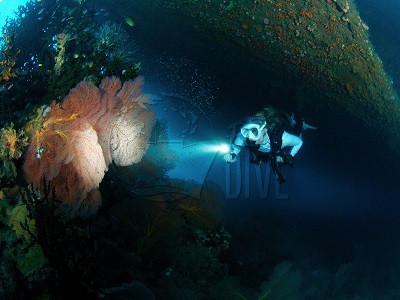 Vanuatu 2018 Dive Vanuatu with Bucket List Diver
