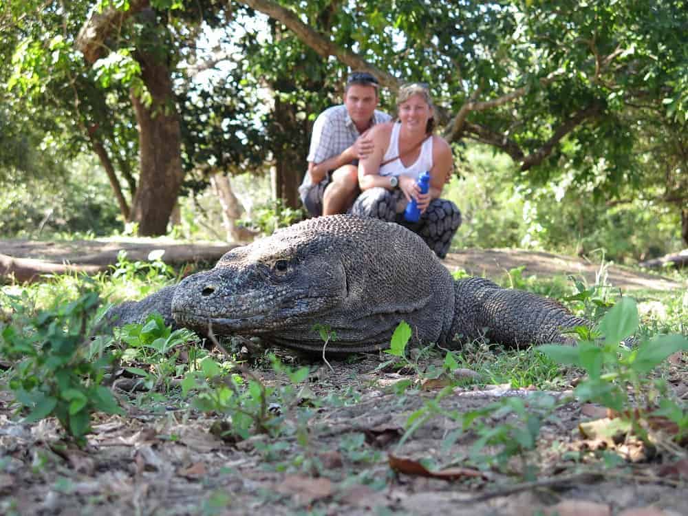 Who Is Bucket List Diver? | Bucket List Diver