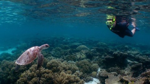 a person swimming in a body of water