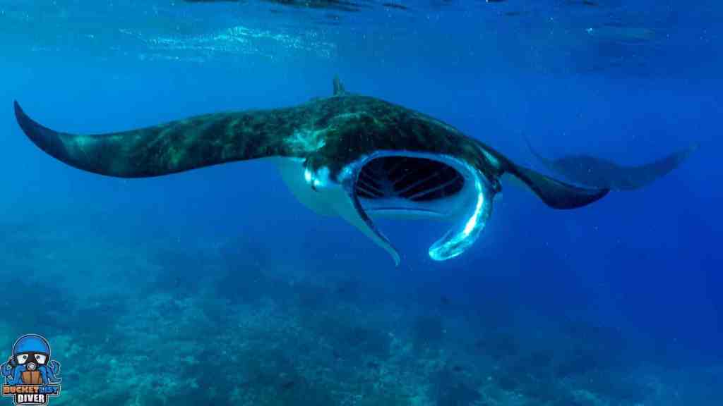 a pool next to a body of water