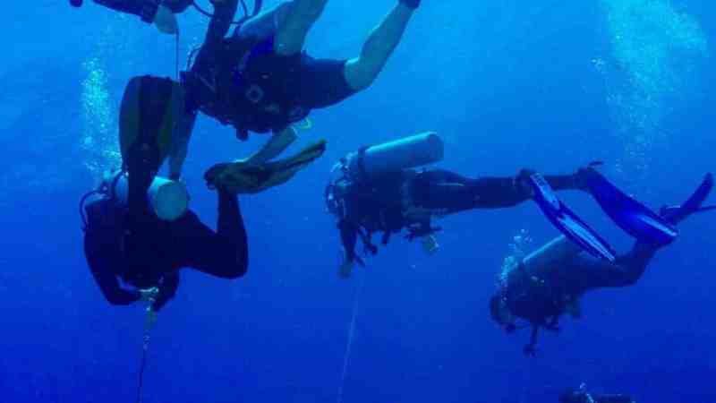 a group of people swimming in the water