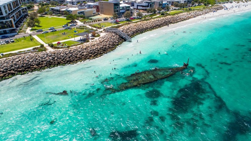 a flock of seagulls in a pool of water
