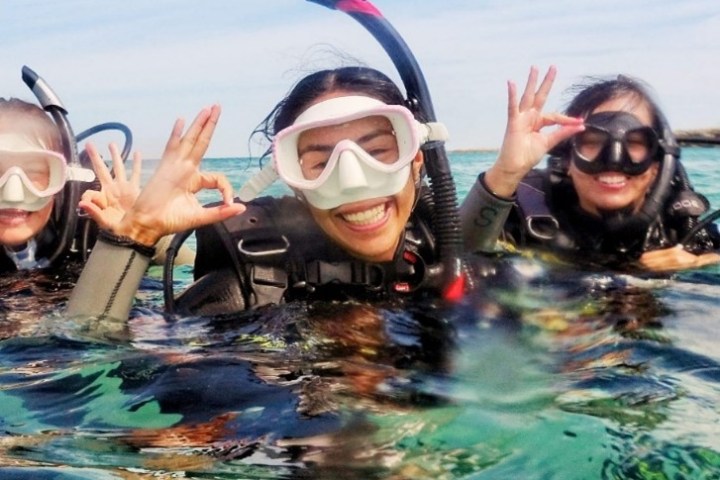 a group of people swimming in the water