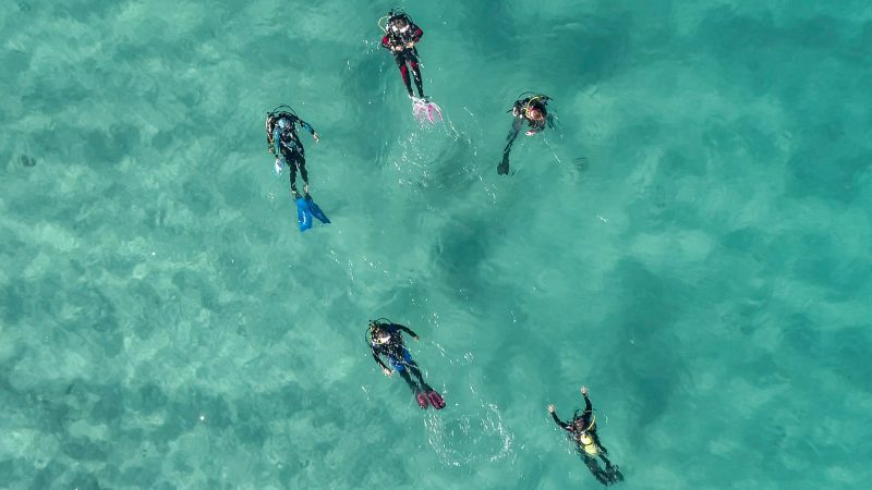 a drone picture of scuba divers