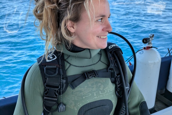 Smiling diver in wetsuit, on a boat with ocean background.