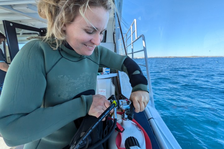 Woman in wetsuit prepares scuba gear on a boat near the ocean.