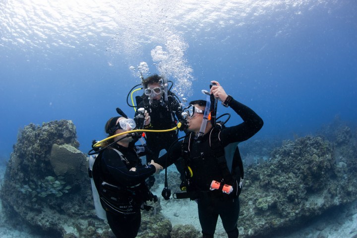 Three scuba divers underwater, interacting near coral reefs.