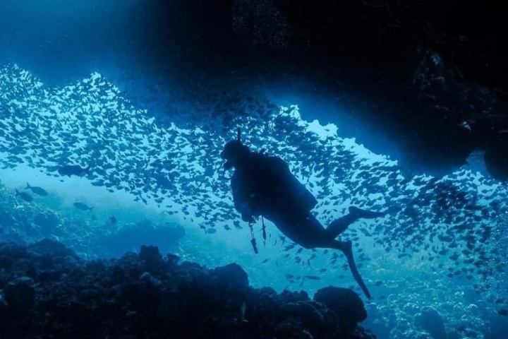 a very dark water