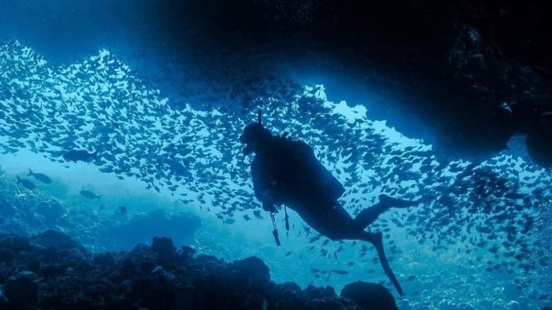 a very dark water