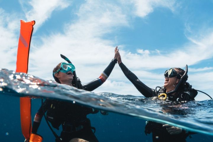 Two scuba divers high-five near the water's surface, wearing snorkels and wetsuits.