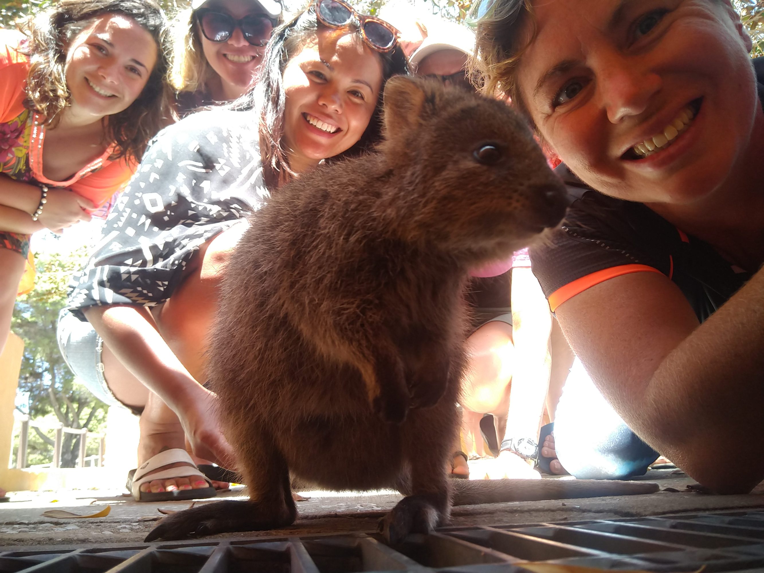 a woman petting a dog