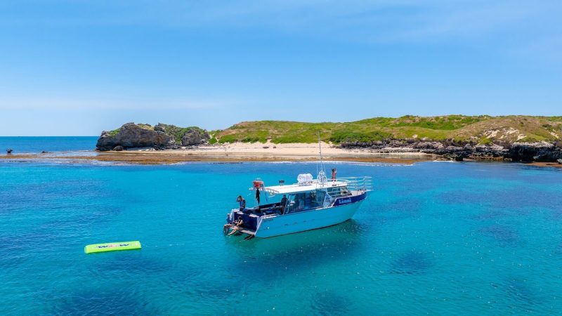 Boat on clear blue water near a small island with rocky shoreline.
